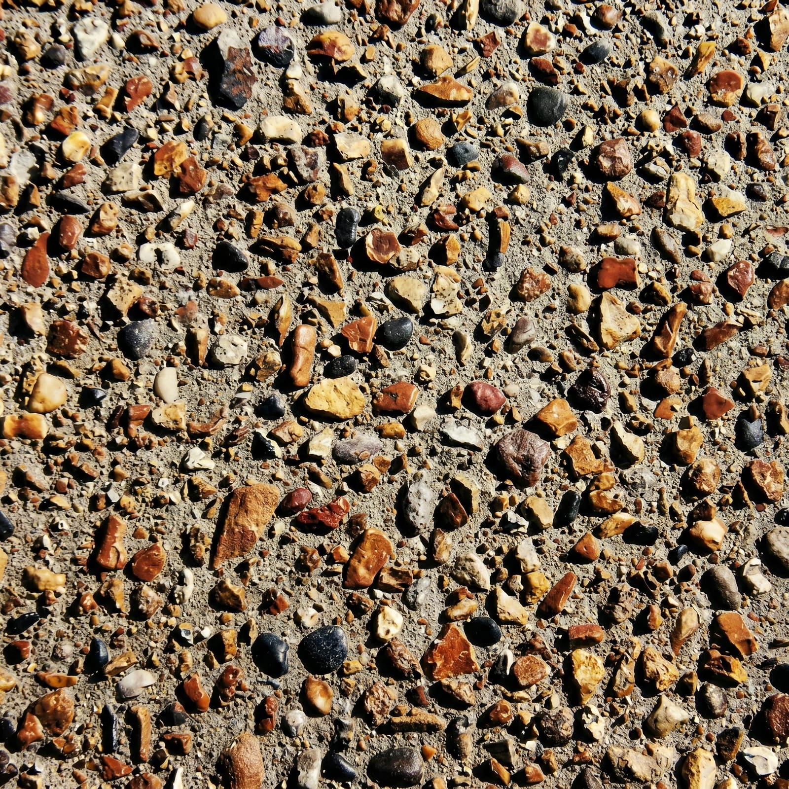 Evercon Exposed Aggregate — Melbourne